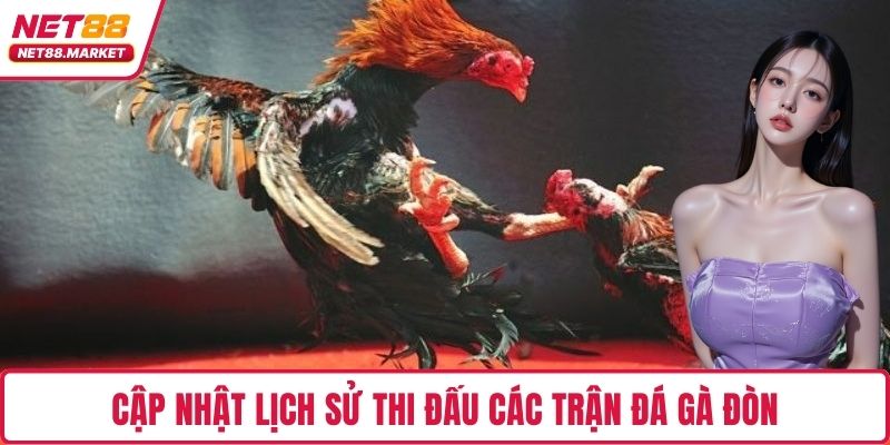 Cập nhật lịch sử thi đấu các trận đá gà đòn
